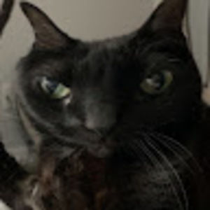 Meet your Posher, Ash